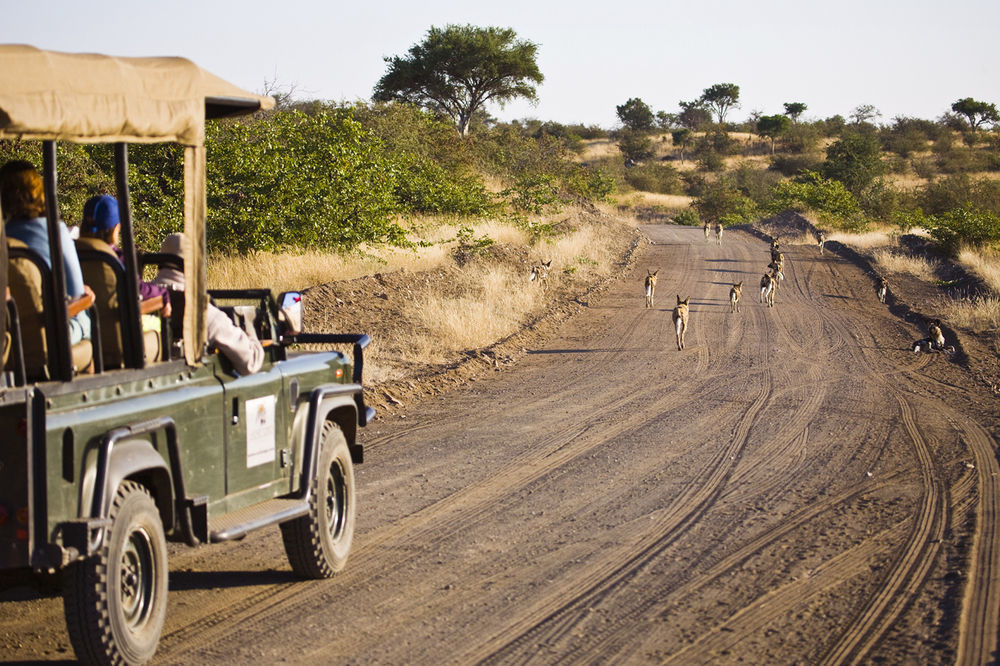 Tuli Safari Lodge Lentswelemoriti 외부 사진